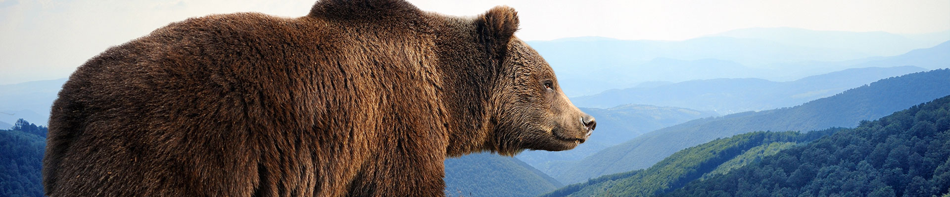 Fantasy RV Tours: 48 Day Heart of Alaska (48AHAF-061923)