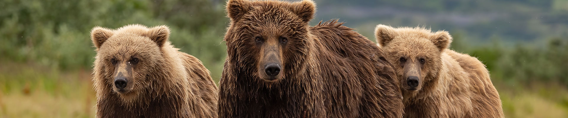 Fantasy RV Tours: 63 Day Great Alaska Escape (63AAEP-071627)