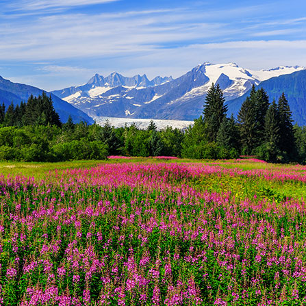 Popular Destination: Alaska